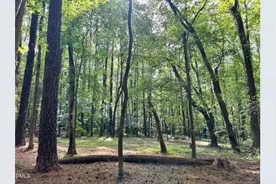 1123 Wake Robin Lane, Cary, NC 27519 - Photo 6