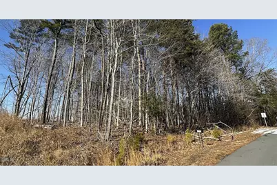 0 Pierce Denny Road, Liberty, NC 27298 - Photo 6