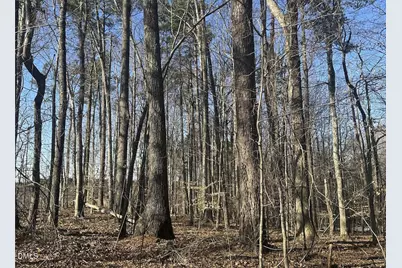 0 Pierce Denny Road, Liberty, NC 27298 - Photo 4