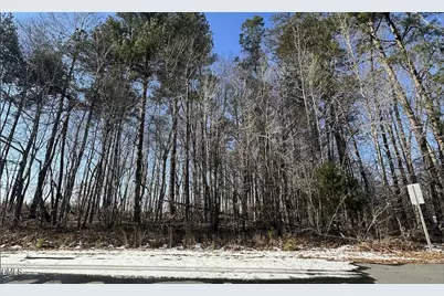 0 Pierce Denny Road, Liberty, NC 27298 - Photo 2