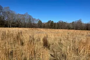 512 Bacon Rd, Rougemont, NC 27572 - Photo 1