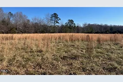 512 Bacon Road, Rougemont, NC 27572 - Photo 4