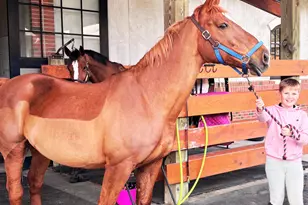 228 Sicily Drive, Clayton, NC 27527 - Photo 28