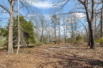 113 Pineview Drive, Louisburg, NC 27549 - Photo 46