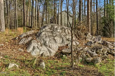 798 Horizon Drive, Pittsboro, NC 27312 - Photo 60