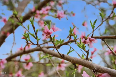 798 Horizon Drive, Pittsboro, NC 27312 - Photo 56