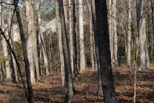 2925 Carriage Meadows Dr, Wake Forest, NC 27587 - Photo 36