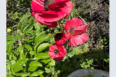 3645 Old Fairground Road, Angier, NC 27501 - Photo 50