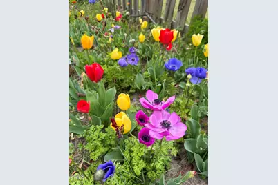 3645 Old Fairground Road, Angier, NC 27501 - Photo 44