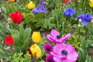 3645 Old Fairground Rd, Angier, NC 27501 - Photo 44