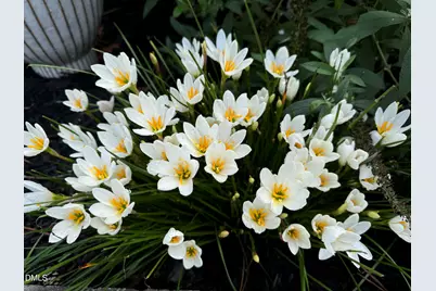 3645 Old Fairground Road, Angier, NC 27501 - Photo 42