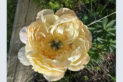 3645 Old Fairground Road, Angier, NC 27501 - Photo 48