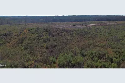 175 Tillery Drive, Louisburg, NC 27549 - Photo 8