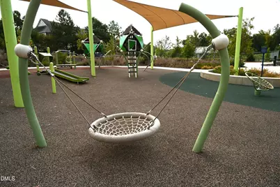 743 Blossom Grove Drive, Cary, NC 27519 - Photo 40