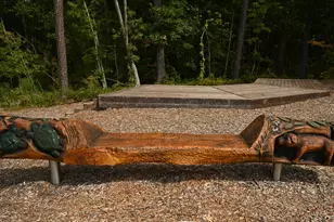 743 Blossom Grove Dr, Cary, NC 27519 - Photo 40