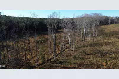 160 Tillery Drive, Louisburg, NC 27549 - Photo 4