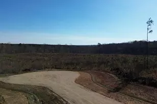 160 Tillery Dr, Louisburg, NC 27549 - Photo 1