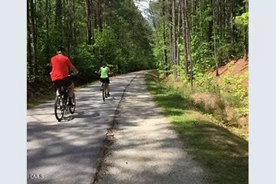 1054 Zelkova Lane, Durham, NC 27517 - Photo 28