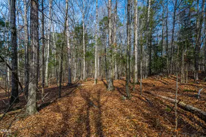 2354 Jones Ferry Road, Pittsboro, NC 27312 - Photo 6
