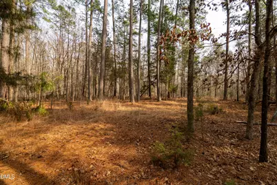 2354 Jones Ferry Road, Pittsboro, NC 27312 - Photo 8