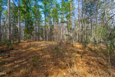 2430 Jones Ferry Road, Pittsboro, NC 27312 - Photo 6