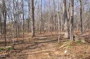 4739 Wild Azalea Pl, Rougemont, NC 27572 - Photo 44