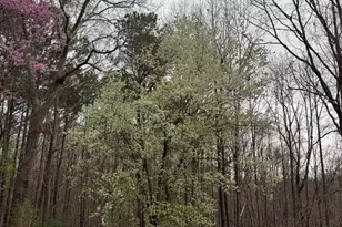 2100 Neuse Colony Dr, Clayton, NC 27527 - Photo 36