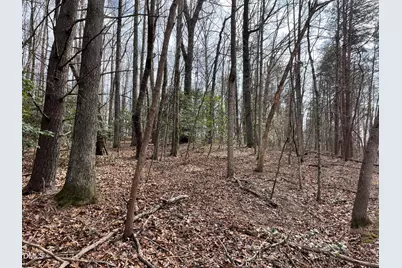 1 Valley Road, Jonesville, NC 28642 - Photo 8