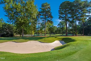 81502 Alexander, Chapel Hill, NC 27517 - Photo 48