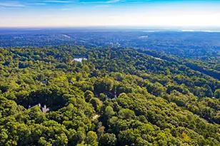 81502 Alexander, Chapel Hill, NC 27517 - Photo 46