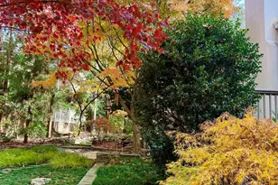 81502 Alexander, Chapel Hill, NC 27517 - Photo 18