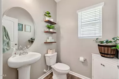 256 Horseshoe Place, Angier, NC 27501 - Photo 24