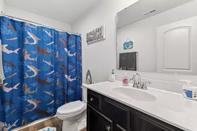 256 Horseshoe Place, Angier, NC 27501 - Photo 36