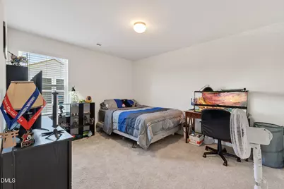 256 Horseshoe Place, Angier, NC 27501 - Photo 34