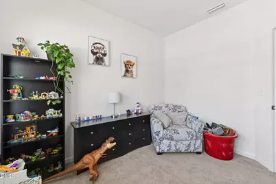 256 Horseshoe Place, Angier, NC 27501 - Photo 48