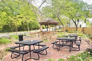 804 Cotton Pl, Raleigh, NC 27601 - Photo 8