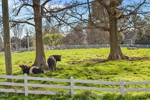 145 Windstone, Pittsboro, NC 27312 - Photo 62