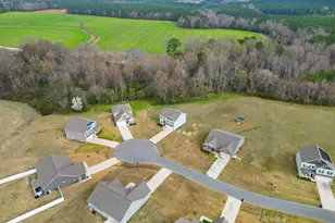 206 Clyde Dog Ct, Lillington, NC 27546 - Photo 4