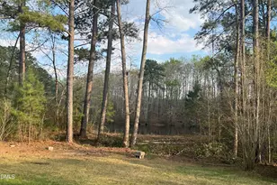 89 New Castle Ct, Clayton, NC 27520 - Photo 48