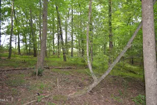0 Dyson Dr, Mebane, NC 27302 - Photo 4