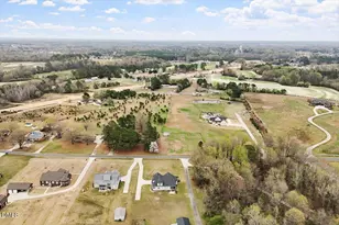 202 Mabry Rd, Angier, NC 27501 - Photo 64