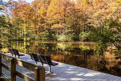 337 Sweetbay Tree Drive, Wendell, NC 27591 - Photo 36