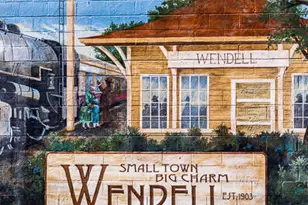 337 Sweetbay Tree Dr, Wendell, NC 27591 - Photo 46