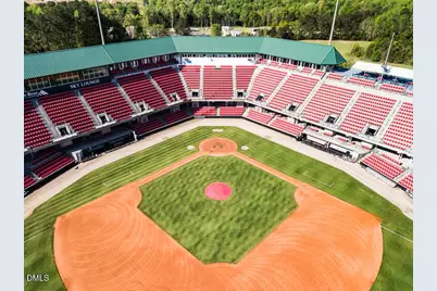 335 Sweetbay Tree Drive, Wendell, NC 27591 - Photo 36