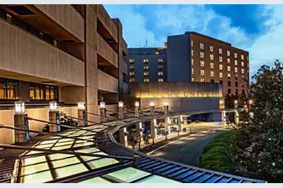 2033 Trident Maple Lane, Durham, NC 27517 - Photo 34