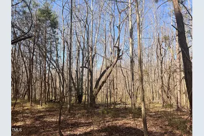 Lot 6 Fishing Creek Road, Enfield, NC 27823 - Photo 4