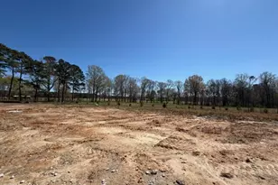 764 Olive Br Dr, Smithfield, NC 27577 - Photo 8