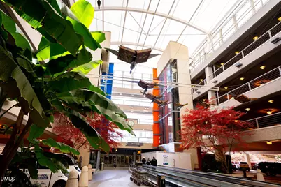 503 Plumleaf Lane, Durham, NC 27703 - Photo 42