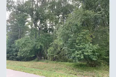 4551 Ashley View Lane, Oxford, NC 27565 - Photo 2