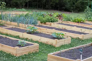 4313-4315 Mitchell Mill Rd, Wake Forest, NC 27587 - Photo 38